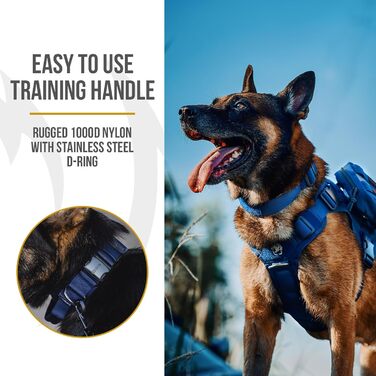 Нашийник для собак OneTigris з металевою застібкою, блакитний, розмір S