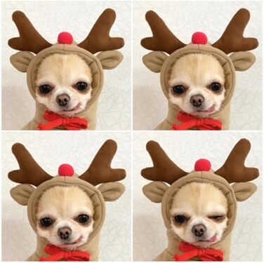 Теплий зимовий одяг для собак, милий халат для собак, толстовка з капюшоном, фліс, костюм для домашніх тварин, куртка для Французького бульдога, Чихуахуа, одяг для собак, колір кава, розмір S