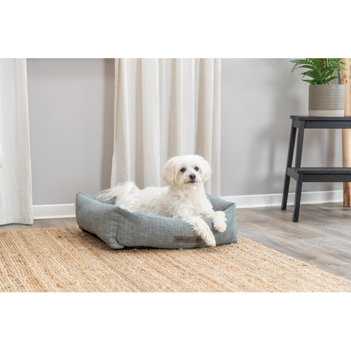 Торрікс Крісло-лежанка для собак Вівана 60x50 см блакитно-сіре, м'яке, з велюровим покриттям, для маленьких собак, з інтегрованим матрацом, антиковзаюча поверхня, м'яке та миється – 37540 L 60 x 50 x 16 см