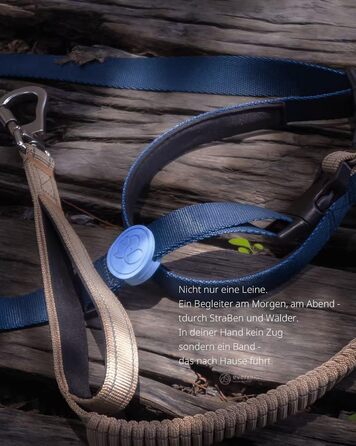 EVERKING 6-в-1 повідок для собак з живітним ременем – повідь для бігу та прогулянок, з двома ручками, антишокова пружина, кріплення для авто, альтернатива шлейці (Блакитний, Сірий, Блакитний, Хакі)