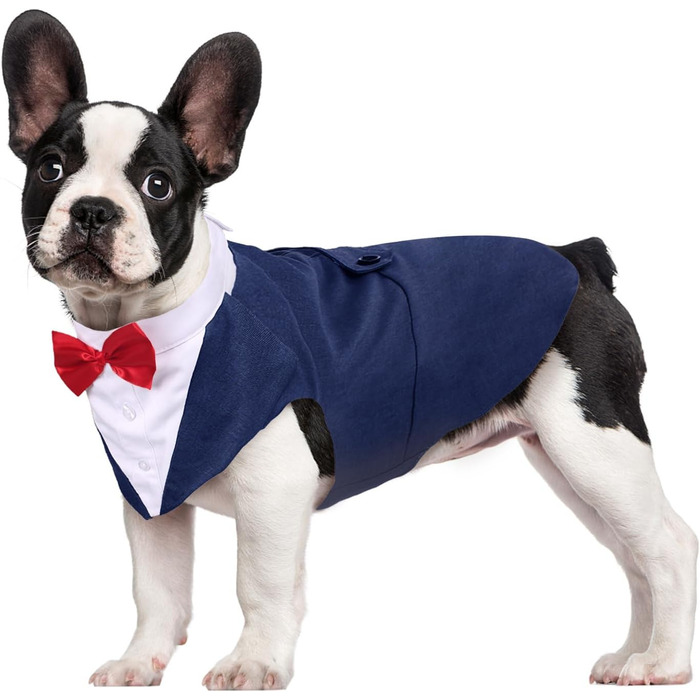 Костюм для собак Kuoser з банданою, формальний одяг для собак, теплий халат з кріпленням для краватки, костюм для цуценят, підходить для вечірок, святкування дня народження, Хелловіну, весілля, розміри S-XXL (S - довжина спини 29 см), колір: блакитний
