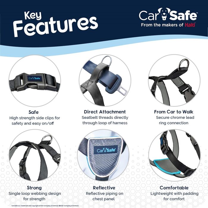 Автомобільна шлейка для собак CarSafe XS, безпечна поїздка для дуже маленьких собак, відповідає ПДР, для транспортування тварин у авто