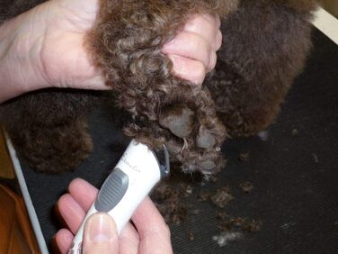 Машинка для стрижки собак Aesculap Exacta Rotschopf24, насадка 3-6 мм, акумулятор Li-Ion, сумка Rotschopf24 43528