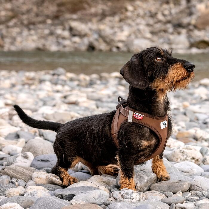 Шлейка для собак Curli Clasp Softshell, коричнева, розмір S