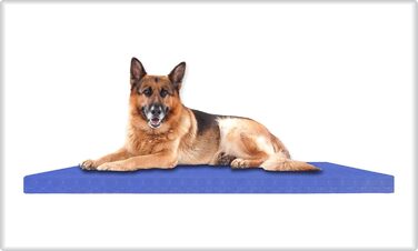 Матрац для собак, вологостійкий, сертифікований FR, міцний, для вулиці, розмір M, 90 x 60 x 5 см, блакитний