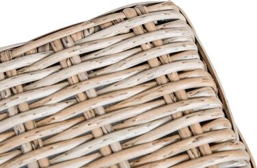 greemotion Лежанка для собак з поліротангу з подушкою, 95 x 15 x 65 см, розміри подушки 95 x 15 x 8 см