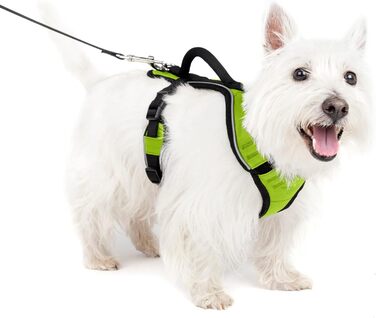 Шлея для собак PetSafe Easysport, регульована, нейлонова