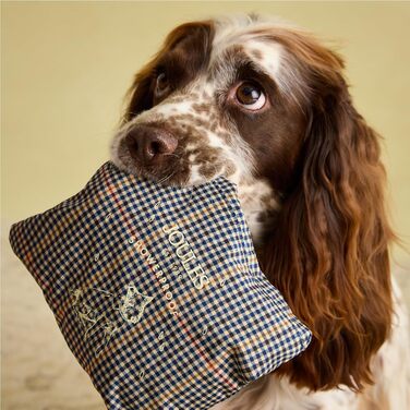 Водонепроникний дощовик для собак Rosewood x Joules Henson Check, маленький, легкий, з можливістю прання