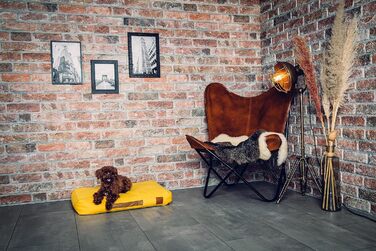 Ортопедичне ліжко для собак Roth & Bock з м'якої піни, сертифіковане Oeko-Tex Standard 100, покриття з водонепроникного канвасу, жовте, розмір S