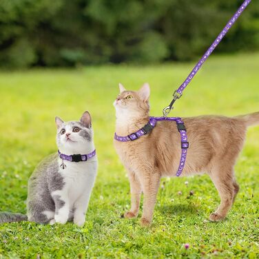 Шлейка для кота PAWCHIE з повідком та ошийником, витривала, регульована, світиться в темряві, для кошенят, для прогулянок на вулиці (фіолетовий, S)