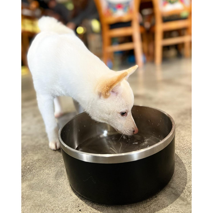 Миски для собак IKITCHEN з нержавіючої сталі, подвійні стінки, 1,8 л, чорні, для корму та води, з гумовим дном