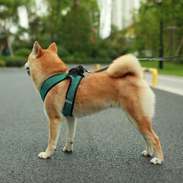 Шлейка для собак Best Pet Supplies Voyager Step-In Air, дихаюча, нейлонова, бірюзова, для малих і середніх порід, розмір S