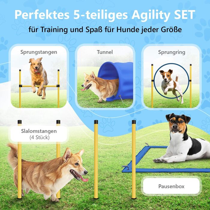 Набір для аджиліті для собак Huskl Agility Set: тунель, стійки, кільце, коробка для відпочинку. Аксесуари для аджиліті та тренувань собак.