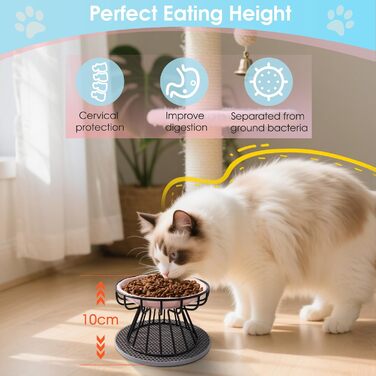 Набір мисок для котів (2 шт.) з підставкою, керамічні миски для корму та води, силіконовий килимок, блакитний + рожевий