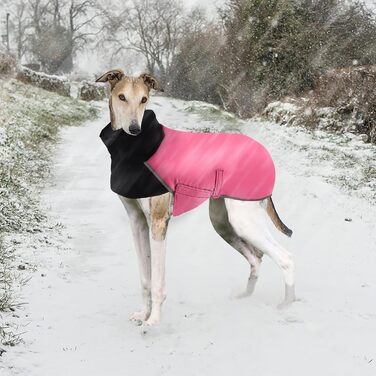 Водонепроникний зимовий одяг для Whippet (Saukis) – рожевий, XS