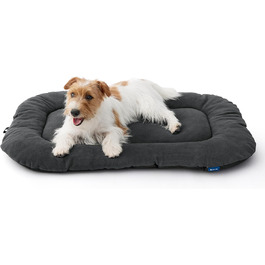 колір: темно-сірий