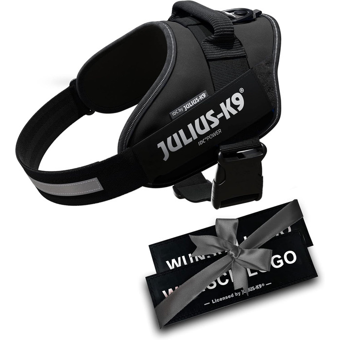 Шлейка Julius K-9 IDC Powergeschirre Anthrazitgrau з індивідуальним написом, для собак маленьких, середніх та великих порід, 16IDC+CUSTOMP-ANT