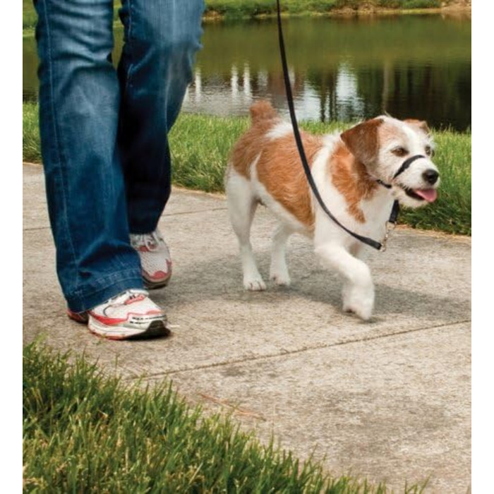 Шлейка для собак PetSafe Easy Walk, середній/великий розмір (чорна, L)