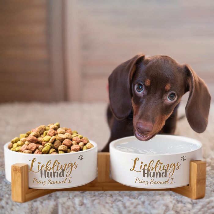 Керамічна годівниця для собак з іменем 'Улюблений пес' | Набір мисок для собак з/без підставки | Подвійна годівниця для собак, миска для їжі та води | великі, середні та малі породи собак, станція для годування (2х500мл, з підставкою)
