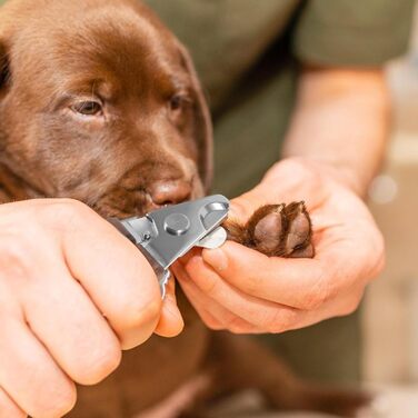 Ножиці для догляду за тваринами Happyyami: безпечні ножиці для котів та собак, ергономічний дизайн