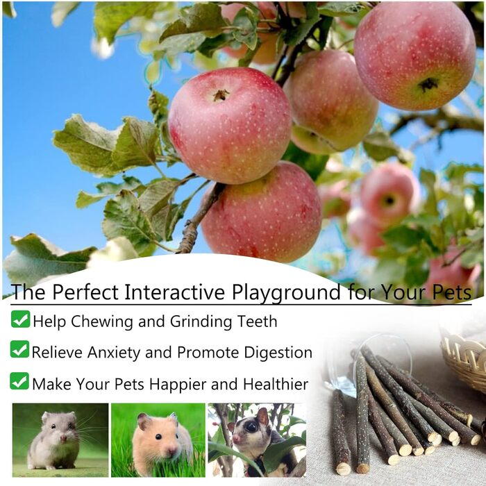 Іграшки для хом'яків, морських свинок та кроликів: аксесуари та розваги для гри