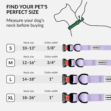 Водонепроникний нашийник для собак CollarDirect: регульований, силікон/пластик, антибактеріальний, легко миється, безпечна застібка. Підходить для собак маленьких, середніх та великих порід (XL (45-66 см), L (35-45 см), фіолетовий)