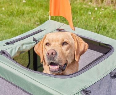 Причеп для собак Cruvado Knuffelwuff: фальш, легкий, стабільний, до 45 кг, з безпековою лінією та від комарами