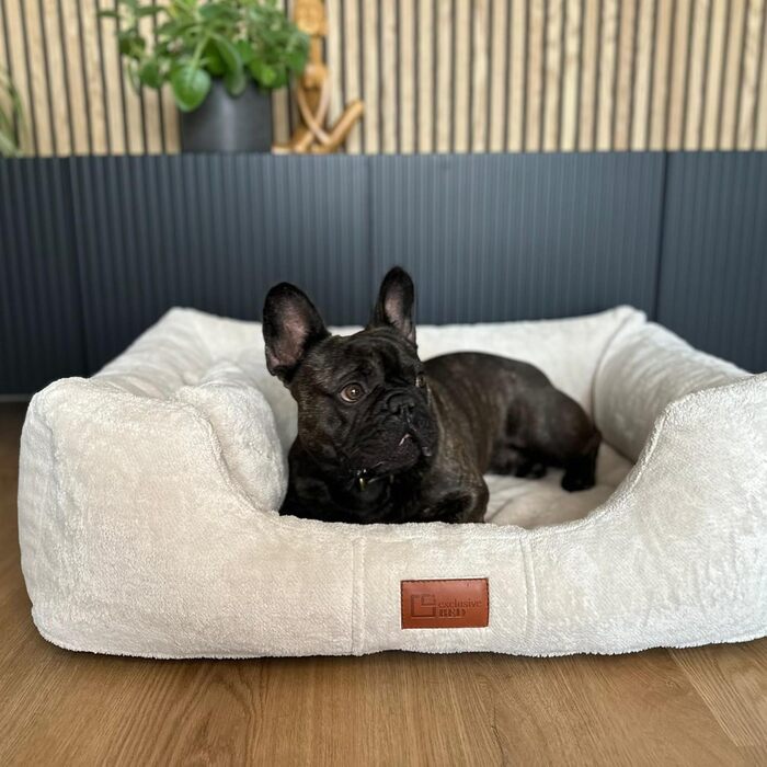 Ортопедичний лежак для собак Candy, великий, середній, маленький - м'яке ліжко для собак, килимок, з плюшу, антиковзаюче, м'яке, довговічне, зносостійке, міцне (XXL+|130x100см, кремовий)