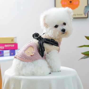 Зимова куртка для собак з отвором для шлейки, флісова підкладка, для маленьких собак, для активного відпочинку на природі, зелено-біла (рожево-біла)