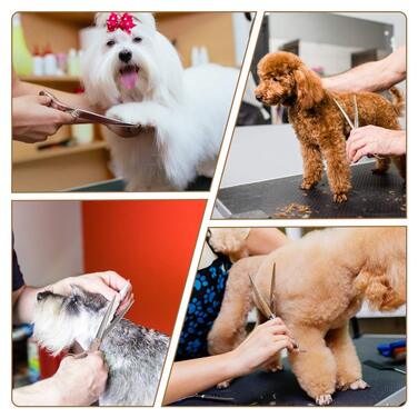 Набір професійних ножиць для грумінгу собак, набір ножиць для собак, ножиці для грумінгу тварин, професійні ножиці для собак