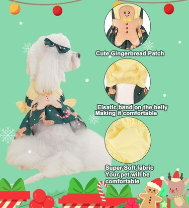 Костюм для собак 