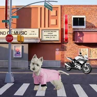 Зимовий одяг для собак NIULA: куртка з PU-шкіри, мотоциклетний стиль, водонепроникна, розмір M