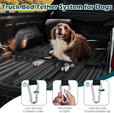 Безпечний поводок для собак у пікап, кріплення для собак, регульований ремінь для 1 собаки, вантажівки, пікапи, SUV