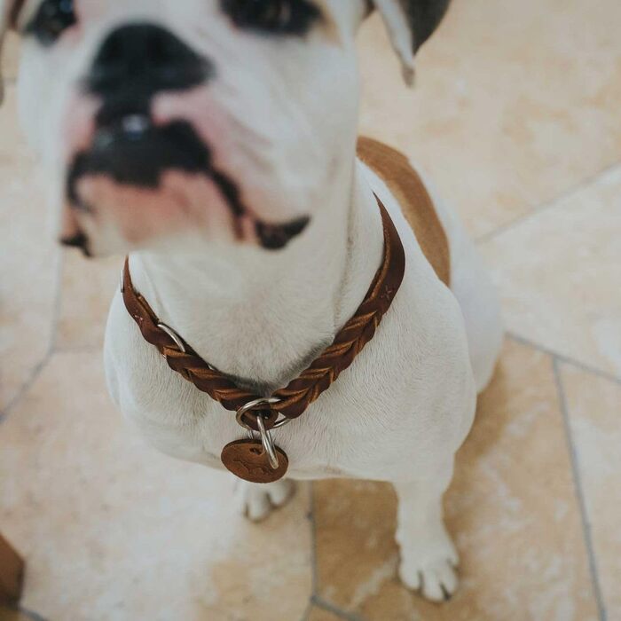 HUNTER Dressurhalsung SOLID EDUCATION: шкіряний сідловий ремінь для тренувань, колір cognac, розмір M-L, Made in Germany