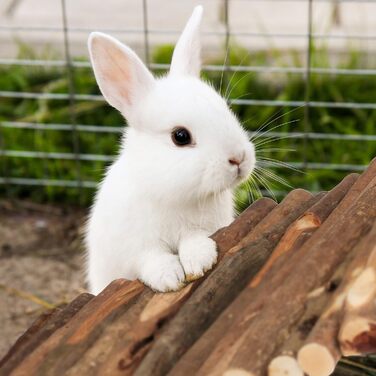 Міст для кроликів та морських свинок Relaxdays Nagerbrücke Holz, 40 x 65 см, дерев'яний, гнучкий, аксесуар для клітки