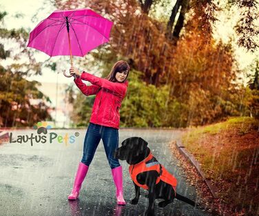 Водонепроникний дощовик для собак Autus Pets з відбиваючими елементами, підходить для нашийника (Помаранчевий, M)