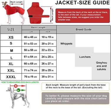 Водонепроникний дощовик для віндхундів, Whippet та Lurcher, Soer, червоний (XL)