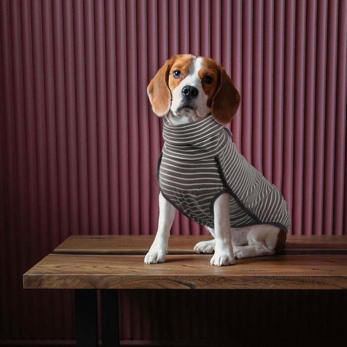 Зимовий одяг для собак ROZKITCH: теплий пуловер/комбінезон, захист від вітру, для маленьких, середніх та великих собак, сіро-білі смуги, 2XL (довжина спини: 22-25 дюймів)