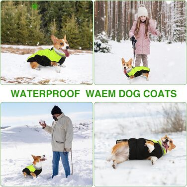 Зимова куртка для собак, водонепроникна, тепла, м'яка, вітрозахисна. З облаштуванням для повідка, світловідбиваюча, з блискавкою та регульованою застібкою. Для малих та середніх собак (Зелений, XL)
