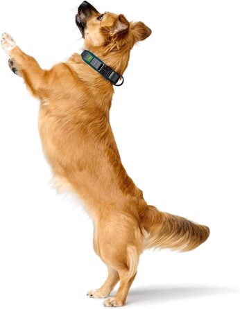 Крісло HUNTER Hasband Madon: дихаюча сітка, міцний нейлон, гіпоалергенне, з регулюванням напруження, вбудований адресник, розмір S, petrol