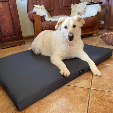 Килимок для собак Тіна, великий, середній, маленький - м'яке ліжко для собак з тканини Kodura, миється, водонепроникний, м'який, довговічний, зносостійкий, міцний (L | 80x60x8 см, антрацит)
