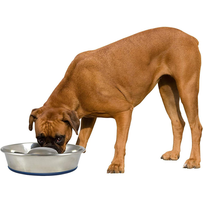 Durapet OurPets преміум антипоїдний металевий миска для собак