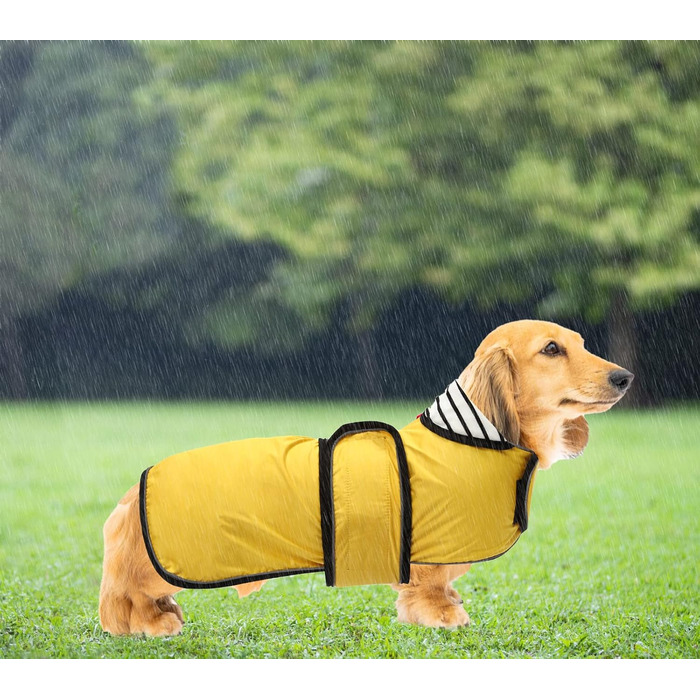 Жовтий дощовик для собак, регульований, водовідштовхуючий, для такс, з відбиваючими елементами, з реміннем на липучці, розмір M (довжина спини 42-45 см)