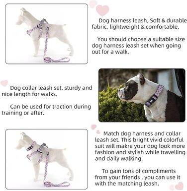QQPETS Шлея для собак, нашийник і повідець 1,5 м, не тягне, регульована, міцна, для цуценят, середніх і великих порід, для тренувань