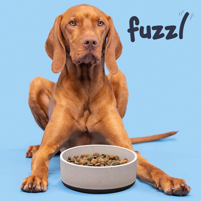 Миска для собак Titan Fuzzl з бамбука та гуми, 22 см, з антиковзким дном, сіра, екологічна, антибактеріальна, міцна, нетоксична, велика, 2.5 л