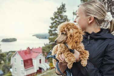 Повідок для собак Hurtta Razzle-Dazzle, 180 см, 25 мм, червоний, з м'якою підкладкою, зносостійкий, з переробленого поліестеру