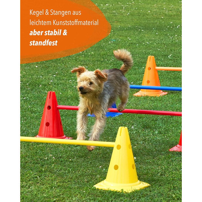 Набір для аджиліті SPORTIKEL24 Superhund: Пружина, перешкоди та кільця для собак - ідеально для аджиліті-спорту