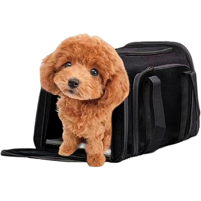 Складана переноска для собак Haustierbox, компактна переноска для собак | Переноска для котів з м'яким внутрішнім оздобленням, переноска для собак, сертифікована