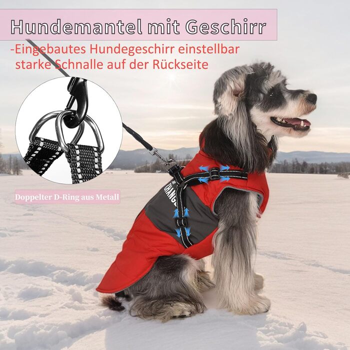 Зимовий одяг для собак: теплий куртка, жилет та нашийник для маленьких та середніх порід. Червоний колір.