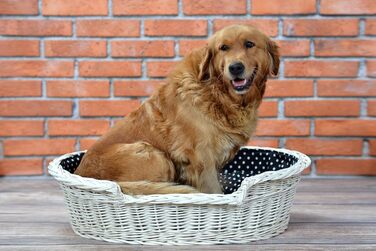 Гніздо для собак з лози e-wicker24 502-60, коричневе, 60x43x19 см (80x60x26 см, бежеве)